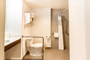 Room, 1 Double Bed, Accessible, Non Smoking