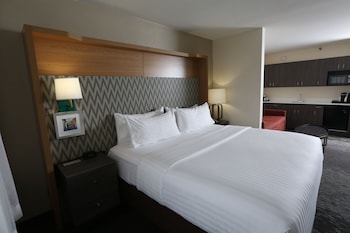 Suite, 1 King Bed
