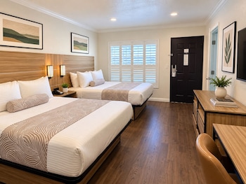 Family Studio Suite, Kitchen