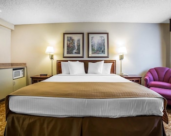 Standard Room, 1 King Bed, Non Smoking