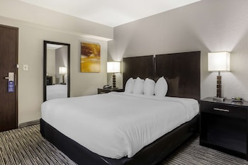 Standard Room, 1 King Bed, Accessible, Bathtub