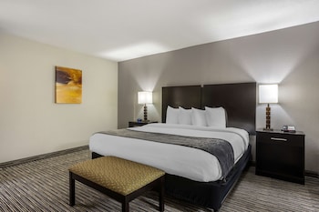 Standard Room, 1 King Bed, Accessible, Non Smoking