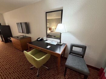 Room, 1 King Bed with Sofa bed