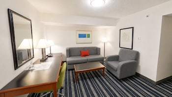 Room, 1 King Bed with Sofa bed