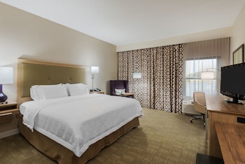 Room, 1 King Bed, Non Smoking, Refrigerator & Microwave