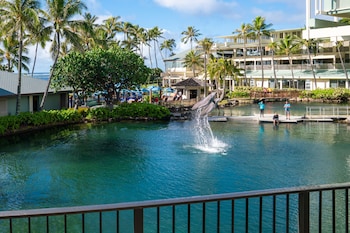 Dolphin Lanai