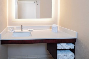 Suite, Multiple Beds, Hearing Accessible