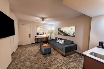 Suite, Multiple Beds, Hearing Accessible