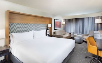 Suite, 1 King Bed