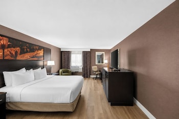 Room, 1 King Bed, Accessible, Non Smoking