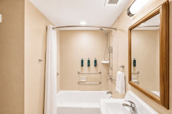 Room, 1 King Bed, Accessible, City View (Mobility, Bathtub)