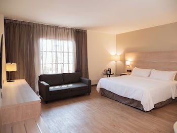 Suite, 1 King Bed