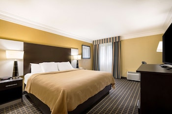 Room, 1 King Bed, Non Smoking (Upgrade)
