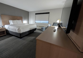 Room, 1 King Bed, Roll-in Shower, Non Smoking