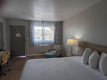 Room, 1 King Bed, Non Smoking