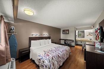 Superior Room, 1 King Bed, Smoking