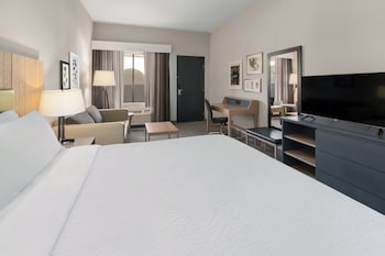 Standard Room, 1 King Bed with Sofa bed