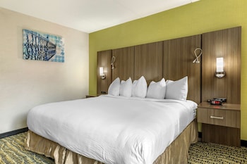 Standard Room, 1 King Bed, Accessible, Non Smoking