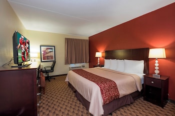 Standard Room, 1 King Bed, Roll-in Shower, Non Smoking