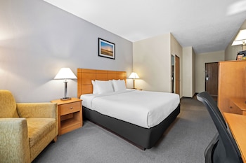 Room, 1 King Bed, Non Smoking