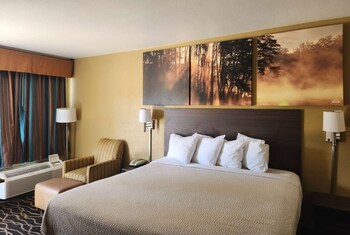 Standard Room, 1 King Bed, Smoking