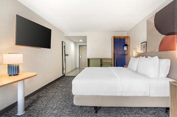 Room, 1 King Bed