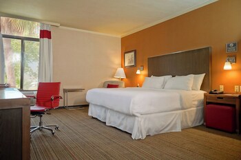 Suite, 1 Bedroom, Non Smoking