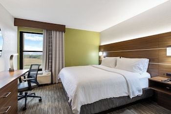 Suite, 1 King Bed with Sofa bed