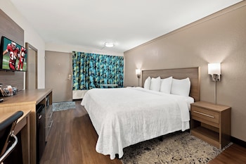 Standard Room, 1 King Bed, Accessible (Smoke Free)
