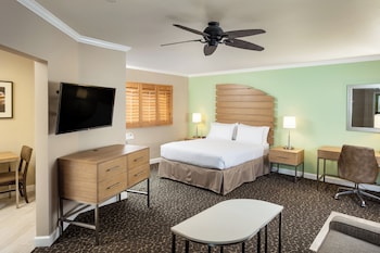 Suite, 1 Queen Bed with Sofa bed