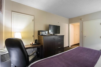 Suite, 1 King Bed with Sofa bed, Non Smoking (2 Person Sofa Bed)