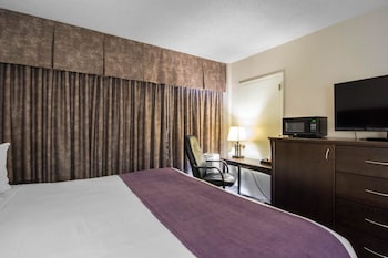 Suite, 1 King Bed with Sofa bed, Non Smoking (2 Person Sofa Bed)