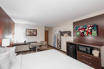 Superior Room, 1 King Bed, Non Smoking