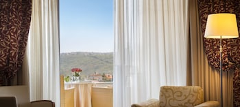 Standard Single Room, Balcony, Park View