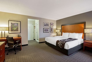 Suite, 1 Bedroom, Non Smoking (1 King Bed)