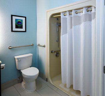 Standard Room, 1 King Bed, Accessible (Mobility, Roll-In Shower)
