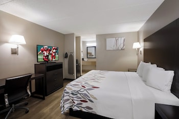 Deluxe Room, 1 King Bed, Non Smoking
