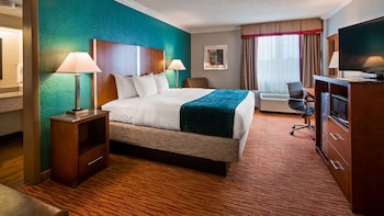 Suite, 1 King Bed, Non Smoking, Refrigerator & Microwave (with Sofabed)