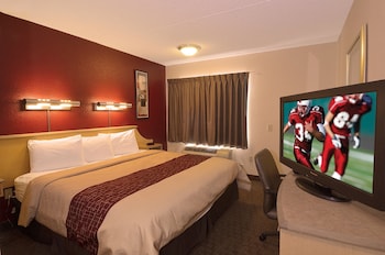 Standard Room, 1 King Bed, Accessible (Roll-In Shower, Smoke Free)