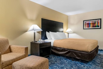 Business Room, 1 King Bed, Non Smoking