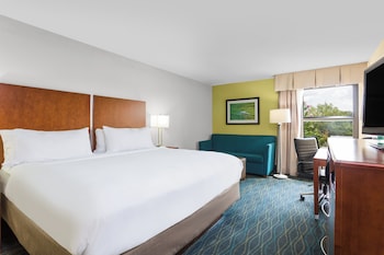 Room, 1 King Bed with Sofa bed, Non Smoking (MOBILITY)