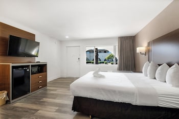 Standard Room, 1 King Bed, Non Smoking