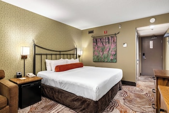 Superior Room, 1 King Bed