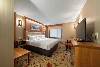 Superior Room 1 King