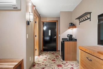 Standard Room 1 King