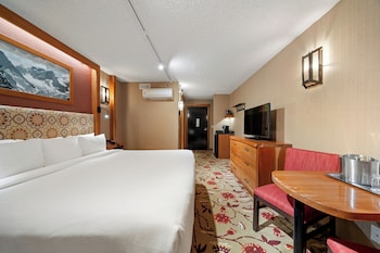 Standard Room 1 King