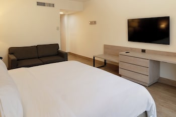 Standard Room, 1 King Bed, Accessible