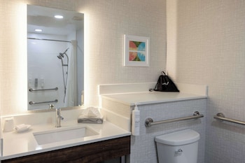 Room, 1 King Bed, Accessible, Bathtub (Mobility & Hearing)