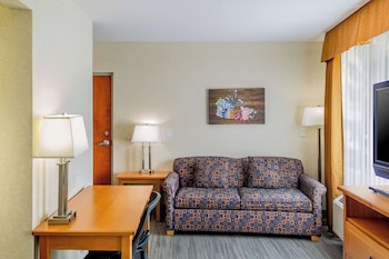 Suite, 1 Queen Bed with Sofa bed, Non Smoking