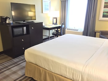Standard Room, 1 King Bed, Accessible